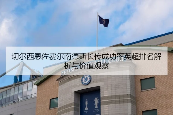 切尔西恩佐费尔南德斯长传成功率英超排名解析与价值观察