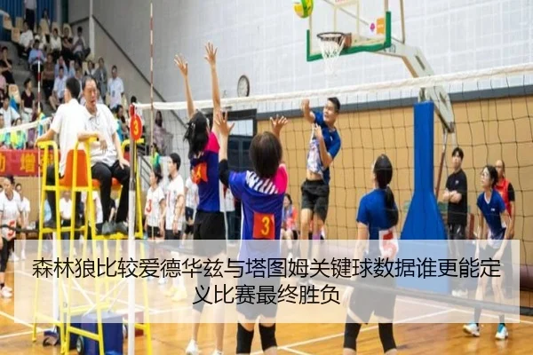 森林狼比较爱德华兹与塔图姆关键球数据谁更能定义比赛最终胜负